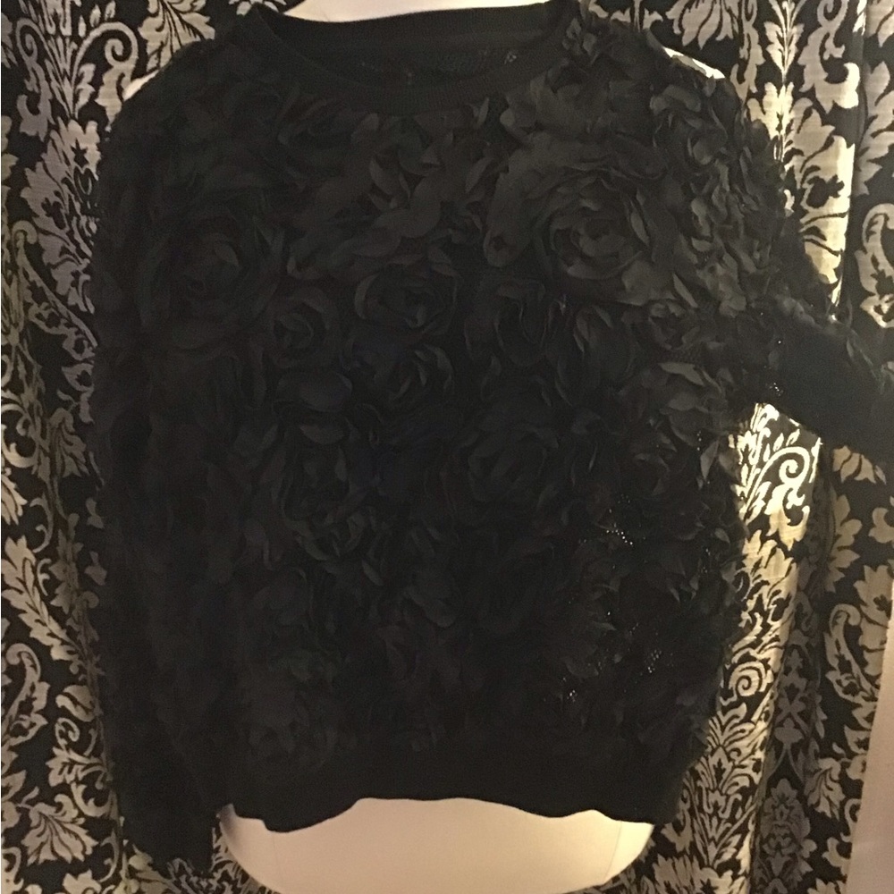 Women Appliqué Mesh Sweat Top